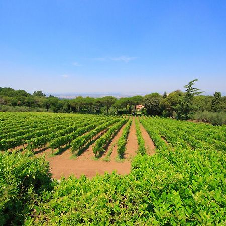 Frascati Country House Grottaferrata Luaran gambar