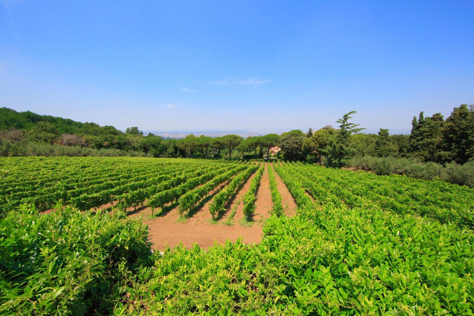 Frascati Country House Grottaferrata Luaran gambar